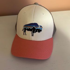 Patagonia Fitz Roy LoPro Trucker Hat